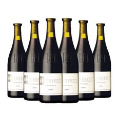 TORBRECK RunRig Shiraz Vertical 6 Pack 2015-2020, Barossa Valley MV Case