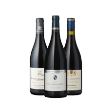 BURGUNDY RETROSPECTIVE - Vintage 2019 Mixed 3-pack 2019 Case