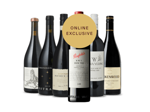 LANGTONS Best of Australian Shiraz 6 Pack  MV Case