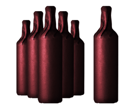 LANGTONS Black Friday Sale Pack 5, Mixed Shiraz 6 Pack MV Case