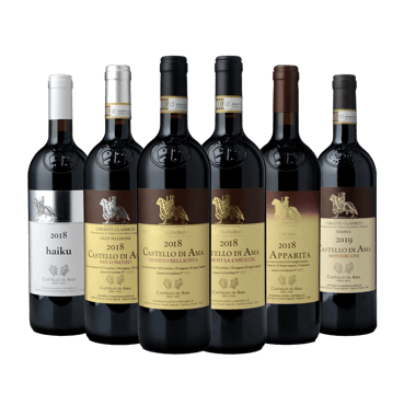 CASTELLO DI AMA Tuscany Mixed 6-pack MV MV Case image number 0