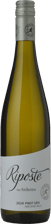 RIPOSTE BY TIM KNAPPSTEIN The Stiletto Pinot Gris, Adelaide Hills 2024 Bottle