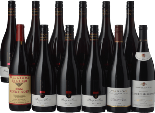 LANGTONS BAY OF FIRES Pinot Noir with an International Trio 12 Pack MV Case image number 0