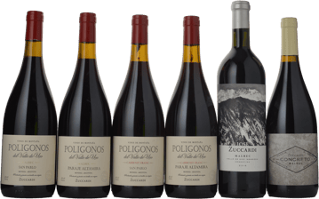 FAMILIA ZUCCARDI Poligonos, Concreto & Jose Mixed 6-pack  MV Case