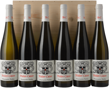 MULLER-CATOIR Bürgergarten Riesling Vertical 2016-2021 6 pack MV Case image number 0