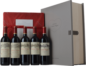 CHATEAU CALON-SEGUR 89, 95, 03, 10, 16 5btl Book OWC , St-Estephe MV Case