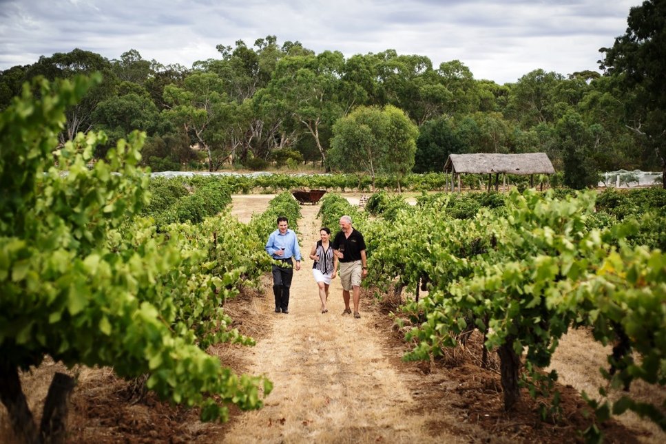 LANGMEIL WINERY Old Vine Experience, Barossa 2019 | Langton's Fine Wines