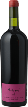 ANTIYAL Carmenere, Maipo 2019 Bottle image number 0
