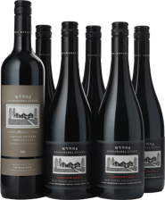 WYNNS COONAWARRA ESTATE Black Label Shiraz 2019 and Michael Shiraz 2016 Mix 6 Pack, Coonawarra MV Case