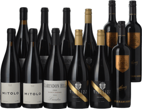 LANGTONS McLaren Vale Bestsellers 12 Pack Shiraz, McLaren Vale MV Case