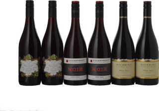 LANGTONS Essential NZ Pinot Noir 6 Pack  MV Case