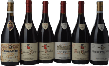 DOMAINE ARMAND ROUSSEAU Mixed 6 Pack MV Set