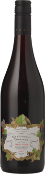 TERRA SANCTA WINES Mysterious Diggings Pinot Noir, Central Otago 2024 Bottle image number 0