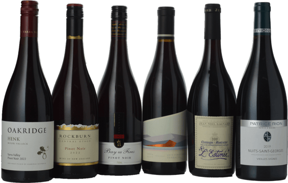 MV LANGTONS Pinot Noir