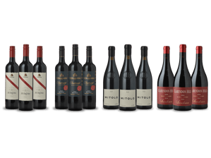 LANGTONS McLaren Vale Standouts II, 12 Pack Shiraz, McLaren Vale MV Case