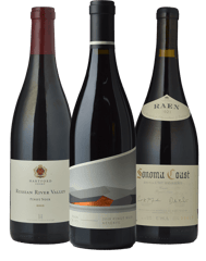 LANGTONS Introduction to US Pinot 3 Pack  MV Case image number 0