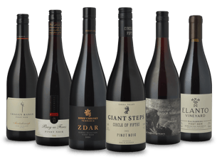 LANGTONS Premium Pinot Noir Selection 6 Pack MV Case