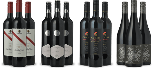 LANGTONS Value McLaren Vale Shiraz 12 Pack  MV Case