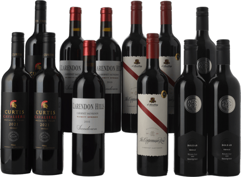 LANGTONS McLaren Vale Shiraz 12 Pack MV Case image number 0
