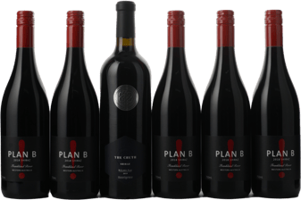 LANGTONS Plan B and Haselgrove Cruth 6 Pack Shiraz, Frankland River, Great Southern, McLaren Vale MV Case